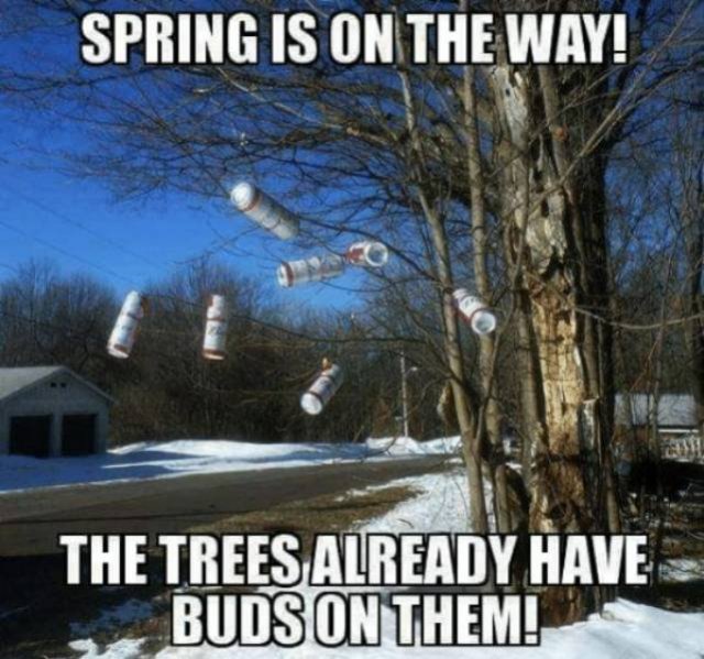 Spring Memes (34 pics)