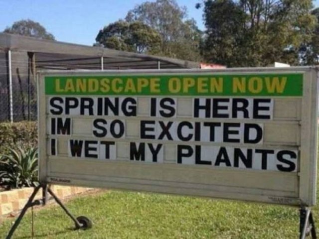 Spring Memes (34 pics)