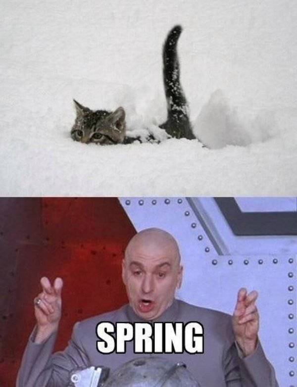 Spring Memes (34 pics)