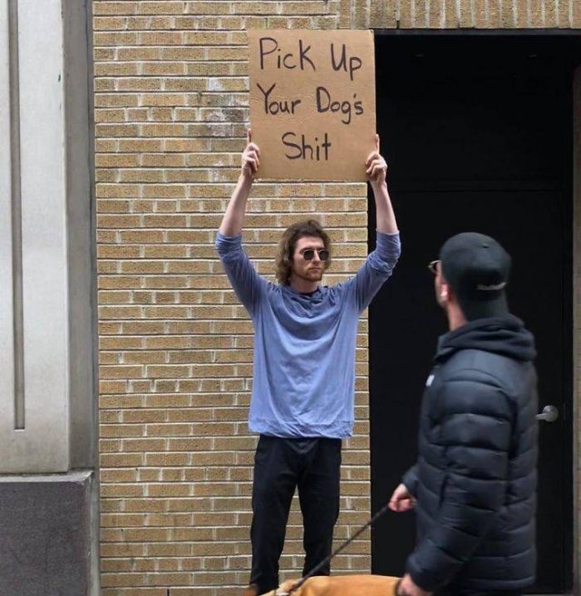 Dude With A Sign (29 pics)