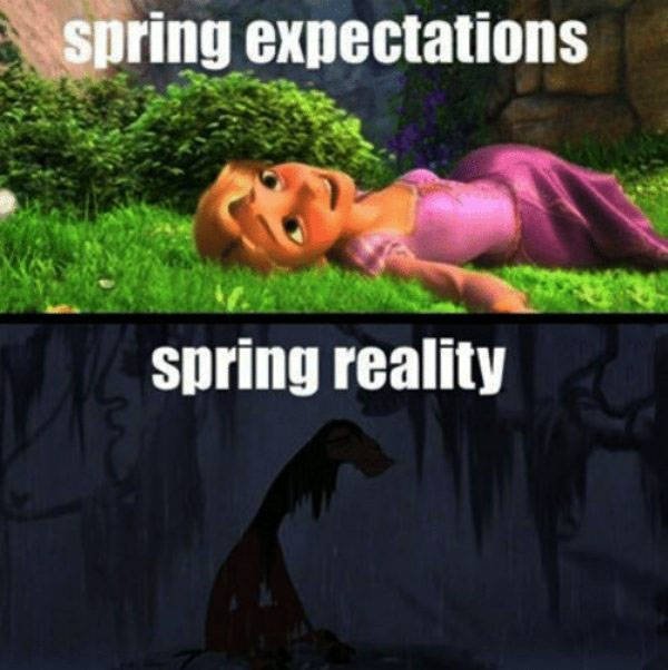 Spring Memes (34 pics)