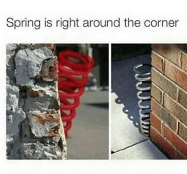 Spring Memes (34 pics)