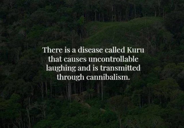 Scary Facts (17 pics)