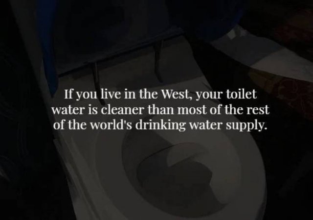 Scary Facts (17 pics)