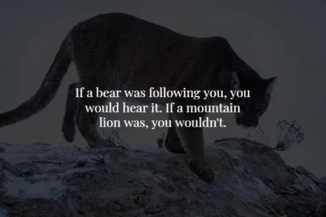 Scary Facts (17 pics)