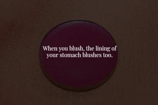 Scary Facts (17 pics)
