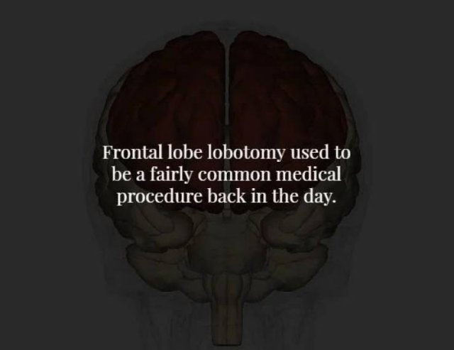 Scary Facts (17 pics)