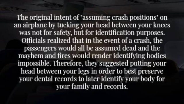 Scary Facts (17 pics)