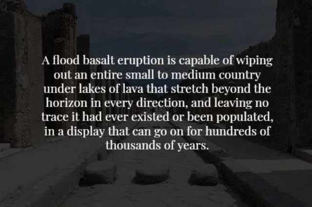Scary Facts (17 pics)