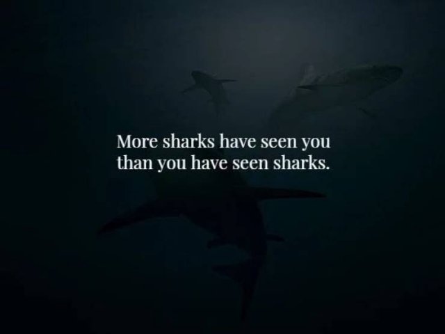 Scary Facts (17 pics)