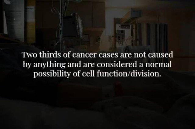 Scary Facts (17 pics)