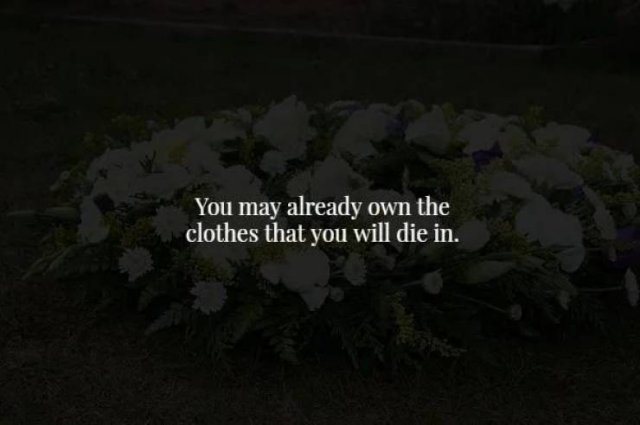 Scary Facts (17 pics)
