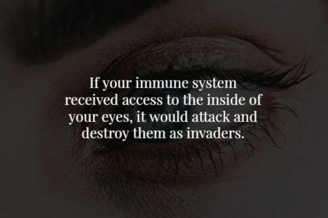 Scary Facts (17 pics)
