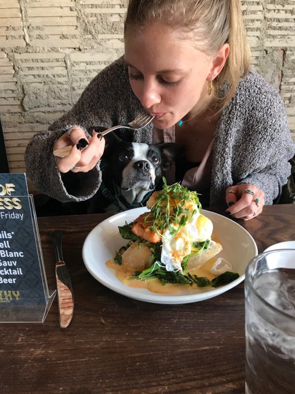 Pets Staring At Food (33 pics)