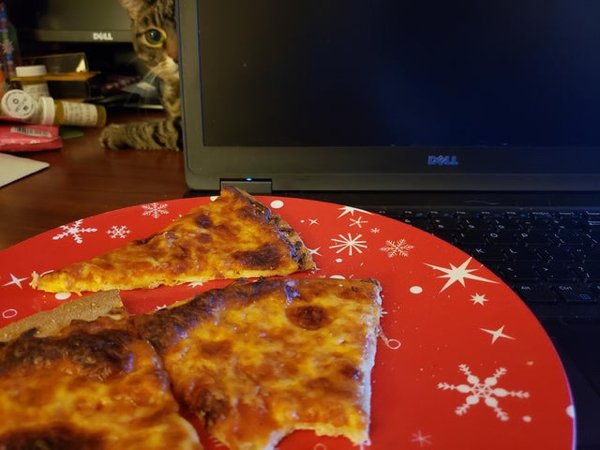 Pets Staring At Food (33 pics)