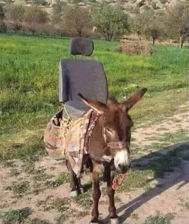 Acid Picdump. Part 1 (89 pics)