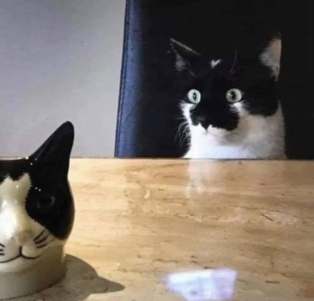Acid Picdump. Part 1 (89 pics)