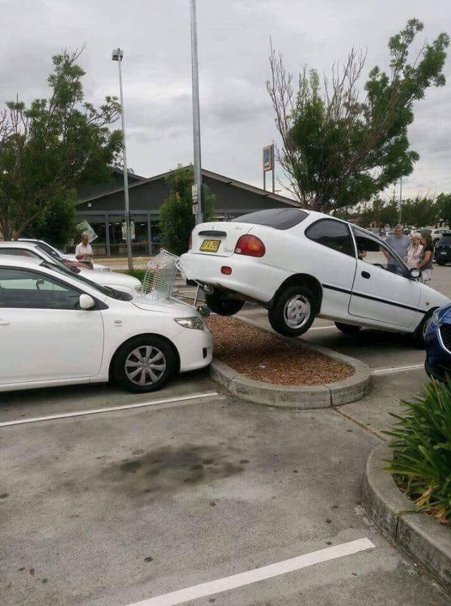 Acid Picdump. Part 1 (89 pics)