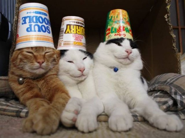 Acid Picdump. Part 1 (89 pics)