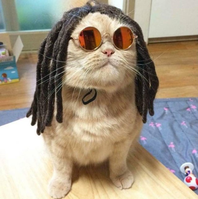Acid Picdump. Part 1 (89 pics)