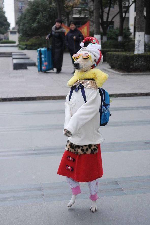 Acid Picdump. Part 1 (89 pics)