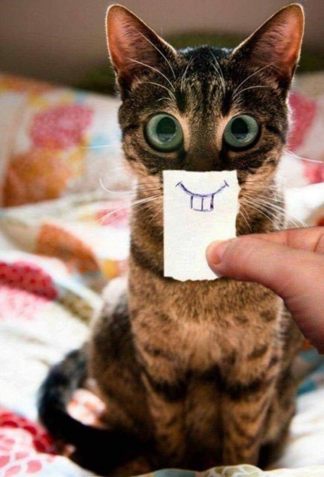 Acid Picdump. Part 2 (89 pics)