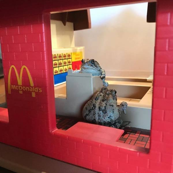 Acid Picdump. Part 1 (89 pics)