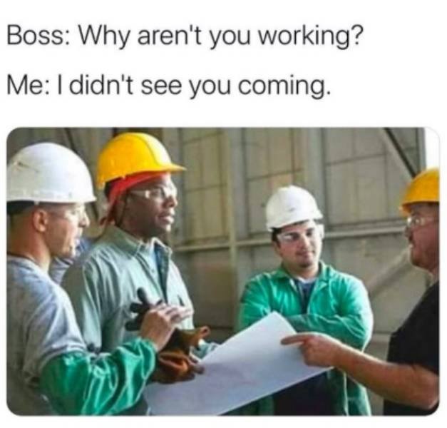 Job Memes (24 pics)