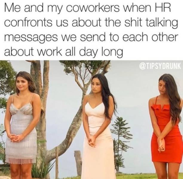 Job Memes (24 pics)