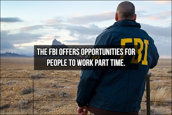 FBI Facts (15 pics)