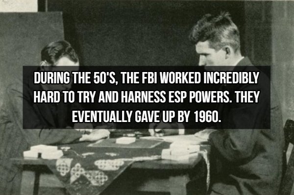 FBI Facts (15 pics)