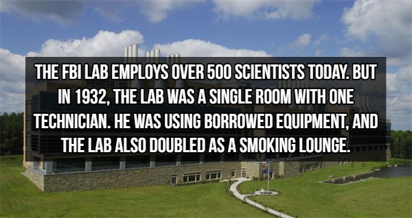 FBI Facts (15 pics)