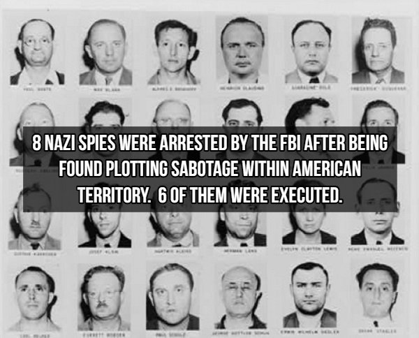 FBI Facts (15 pics)