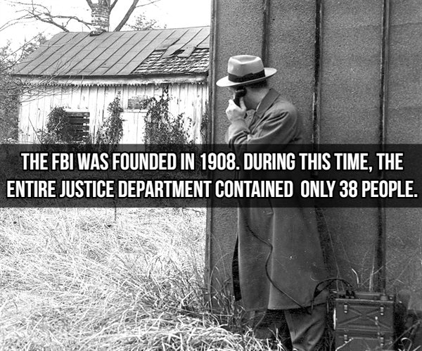 FBI Facts (15 pics)