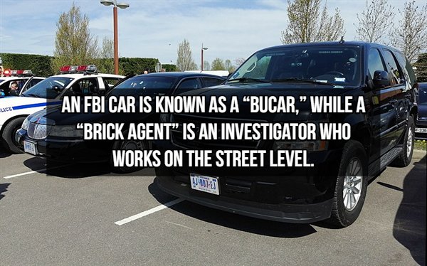 FBI Facts (15 pics)