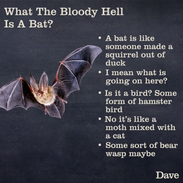 Animal Guide By Dave (30 pics)