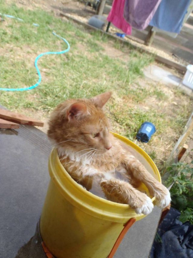 Acid Picdump. Part 1 (94 pics)