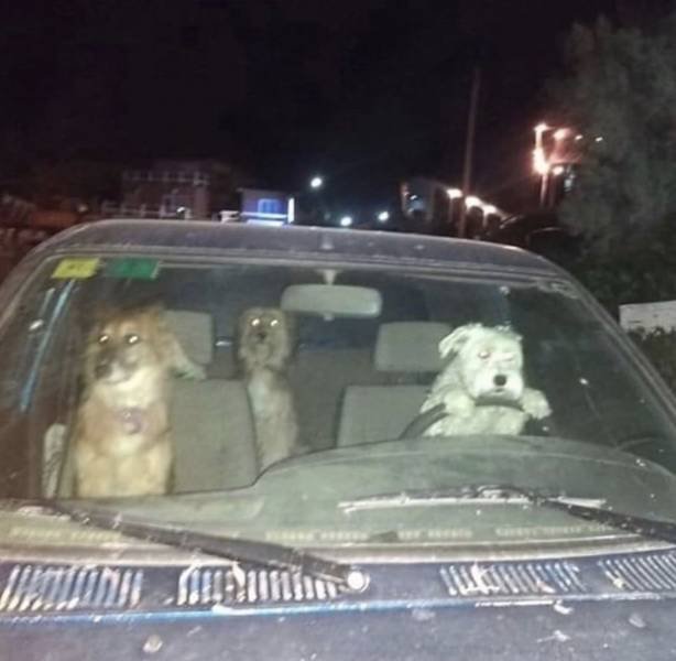 Acid Picdump. Part 1 (94 pics)