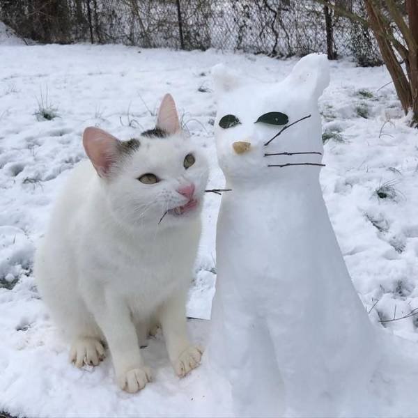 Acid Picdump. Part 1 (94 pics)