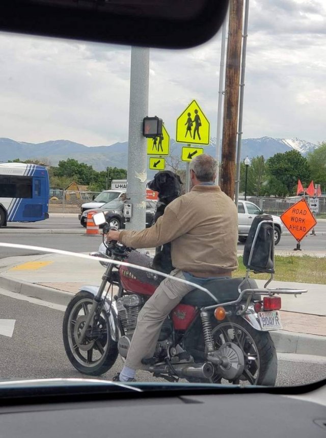 Acid Picdump. Part 1 (94 pics)