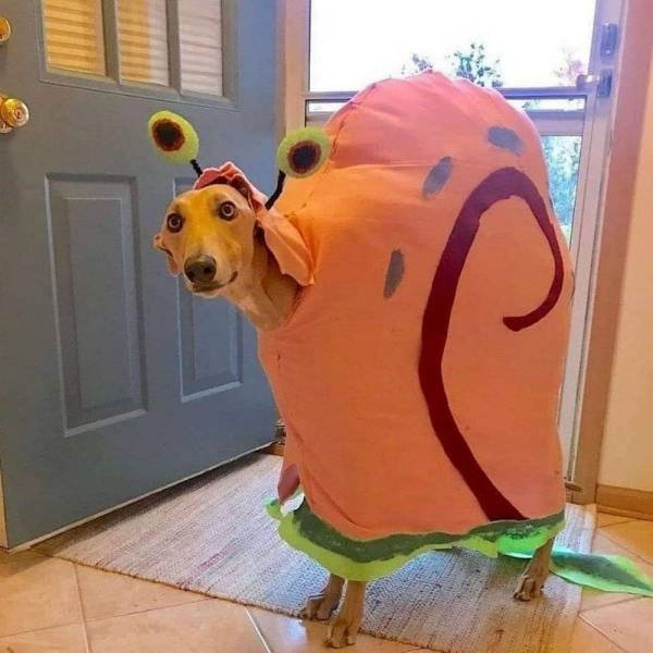 Acid Picdump. Part 1 (94 pics)