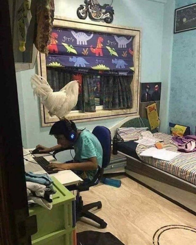 Acid Picdump. Part 1 (94 pics)