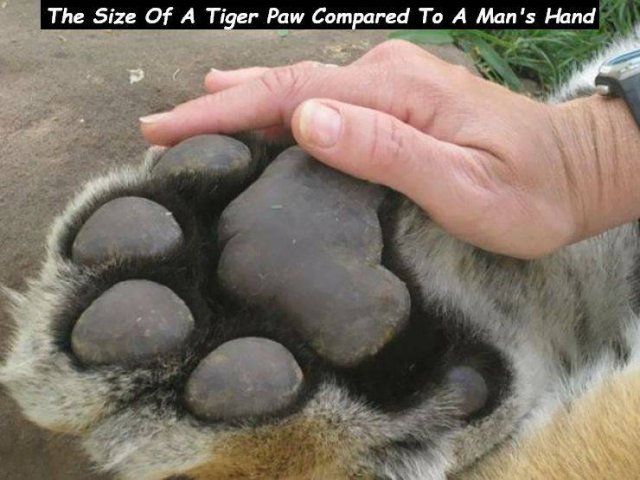 Acid Picdump. Part 1 (94 pics)