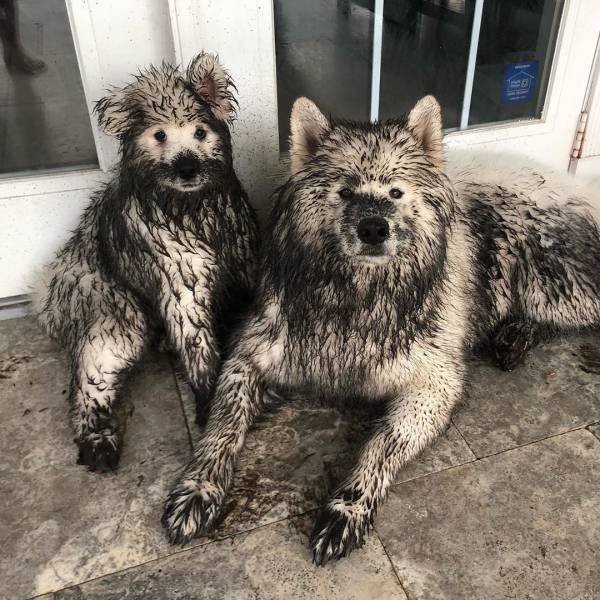 Acid Picdump. Part 1 (94 pics)