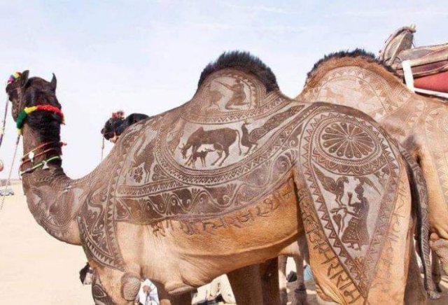 Acid Picdump. Part 1 (94 pics)