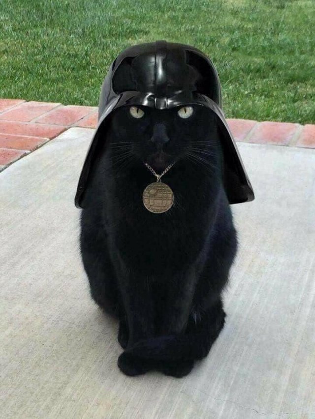 Acid Picdump. Part 1 (94 pics)