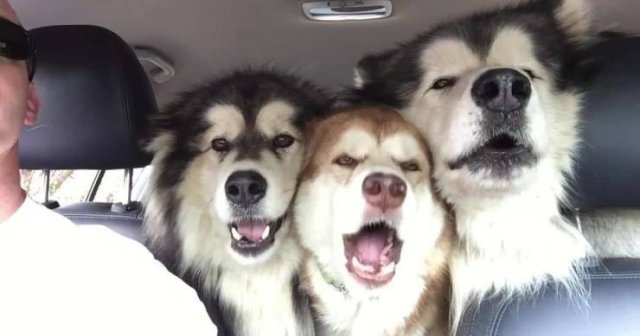 Acid Picdump. Part 1 (94 pics)