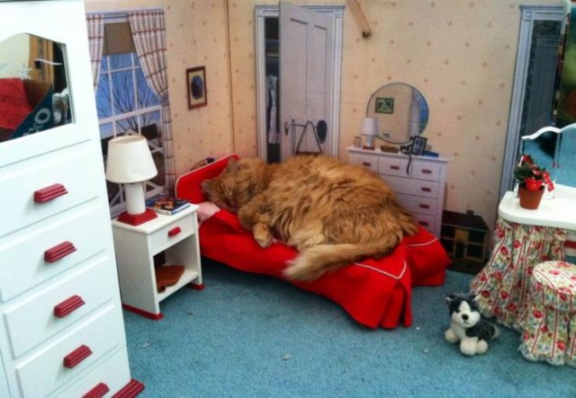 Acid Picdump. Part 1 (94 pics)