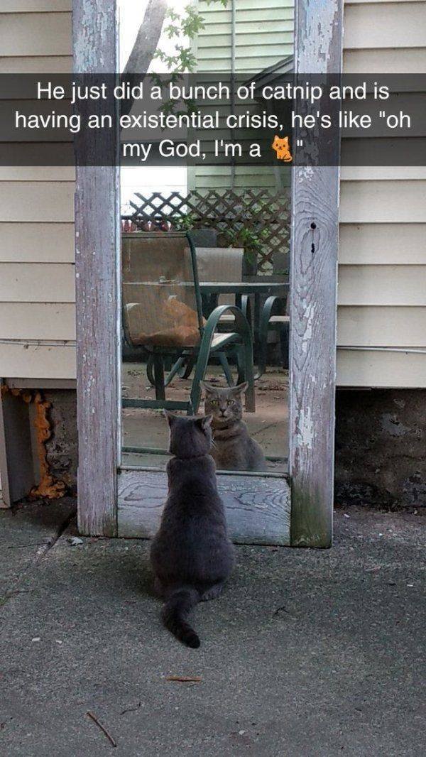 Acid Picdump. Part 1 (94 pics)