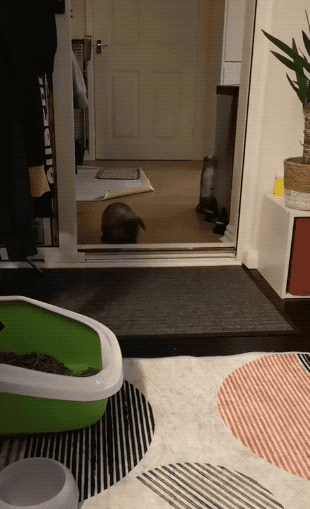 Wins And Fails (33 gifs)